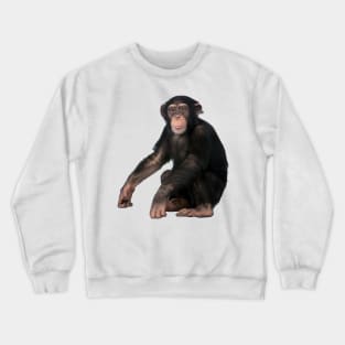 Chimpanzee Crewneck Sweatshirt